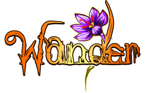 Логотип Wander