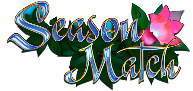 Логотип Season Match