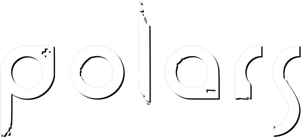 Логотип Polars