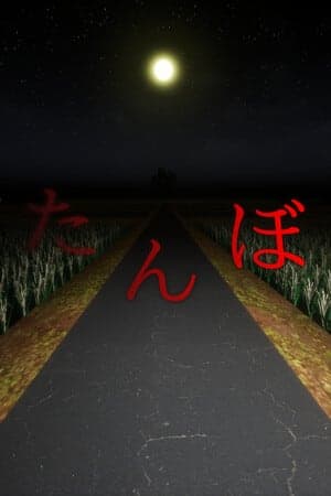 The Paddy Field