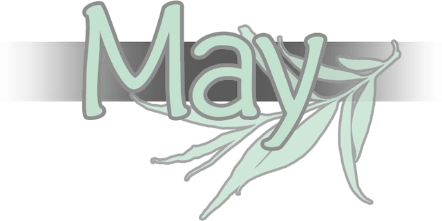 Логотип May (Visual novel)