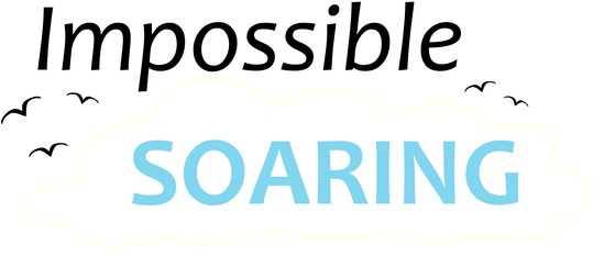 Логотип Impossible Soaring