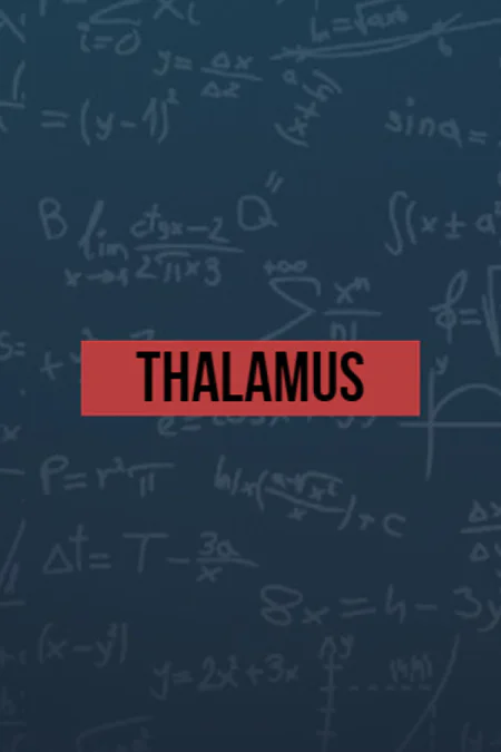 Thalamus