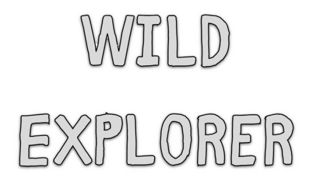 Логотип Wild Explorer