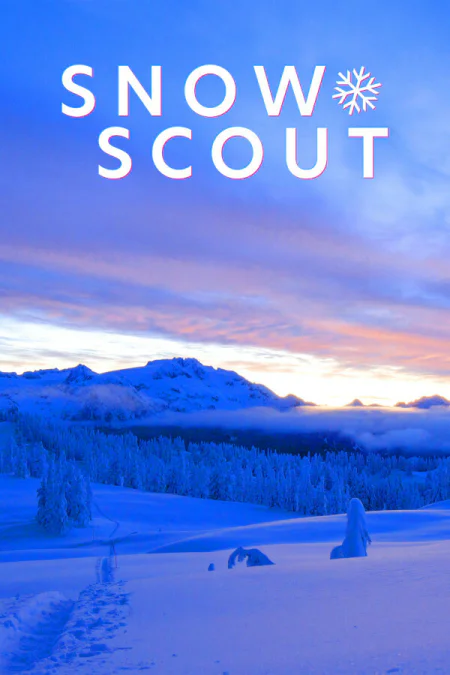 Snow Scout