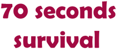 Логотип 70 Seconds Survival