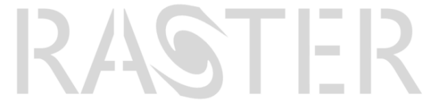 Логотип Raster