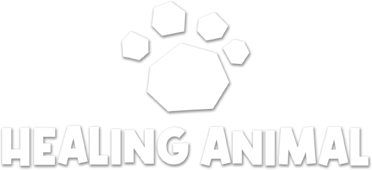 Логотип Healing Animal