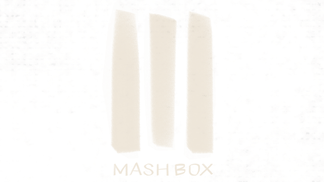 Логотип Mash Box
