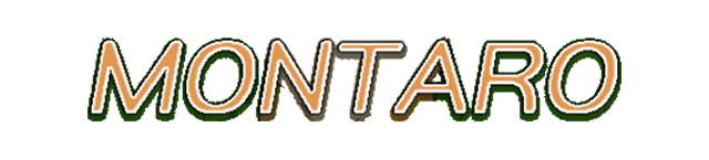 Логотип Montaro