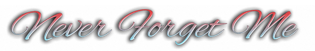 Логотип Never Forget Me