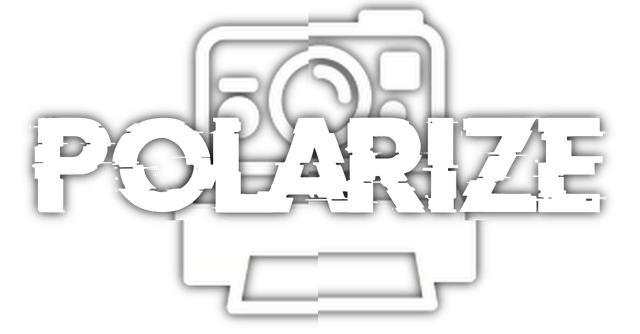 Логотип Polarize