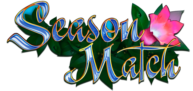 Логотип Season Match