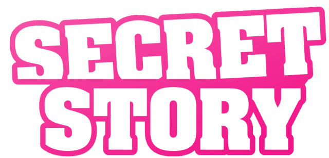 Логотип Secret in Story