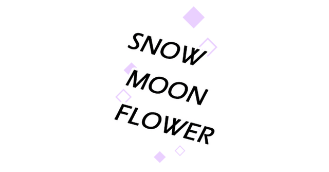 Логотип Snow Moon Flower