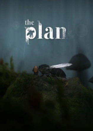The Plan
