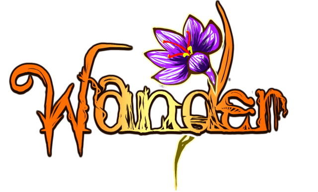 Логотип Wander
