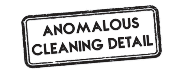 Логотип Anomalous Cleaning Detail