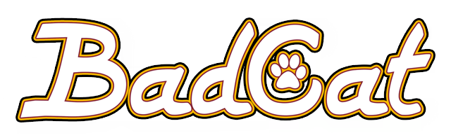 Логотип Bad Cat
