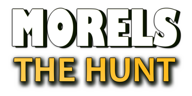 Логотип Morels: The Hunt