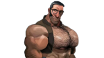 raivo.vavich