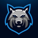 NFS-MW